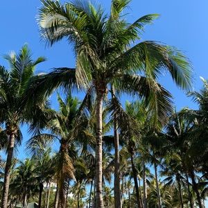 Meet your Posher, Helen